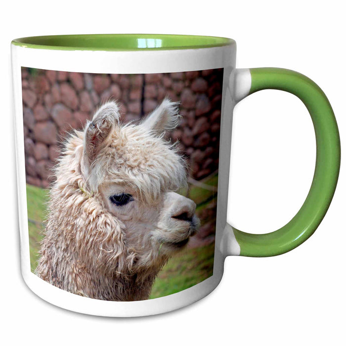 image of 15oz Two-Tone Green Mug