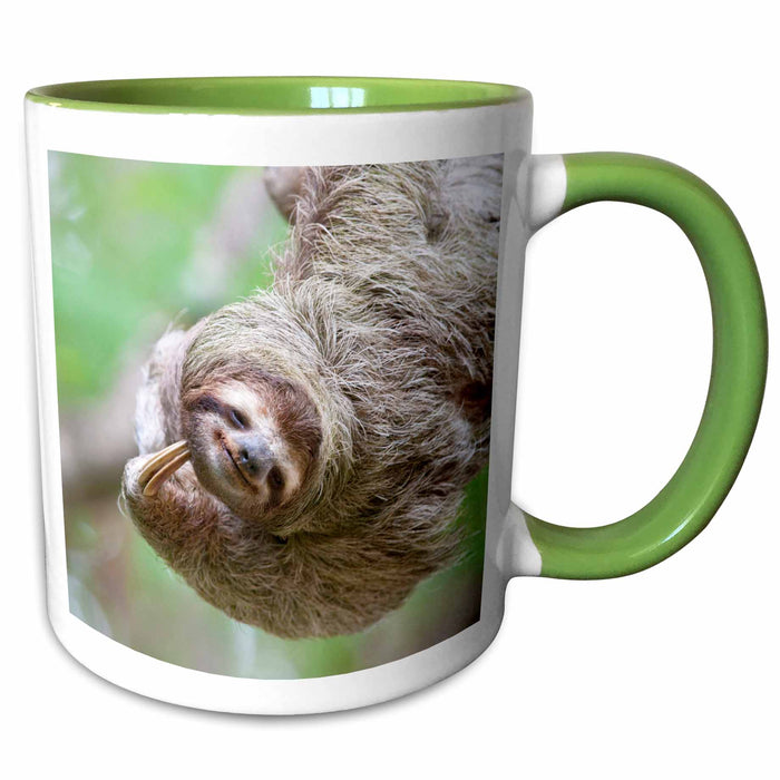 image of 11oz Two-Tone Green Mug