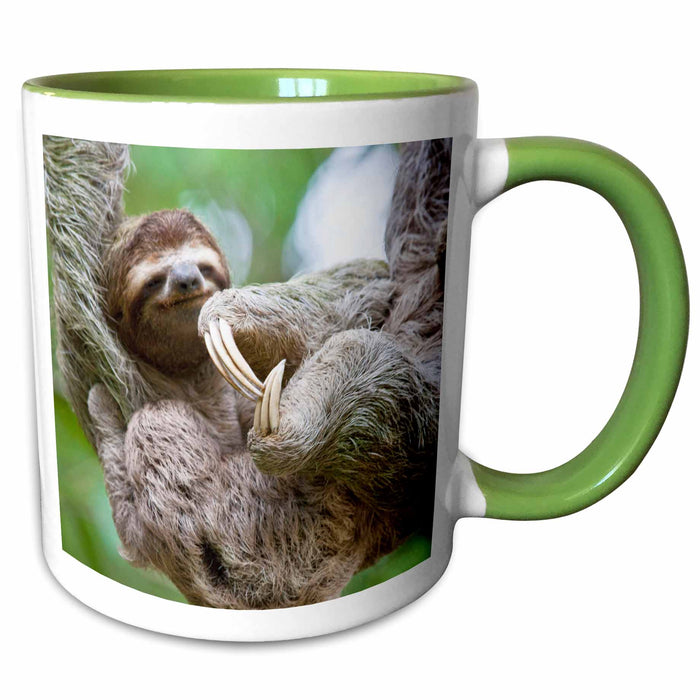 image of 11oz Two-Tone Green Mug