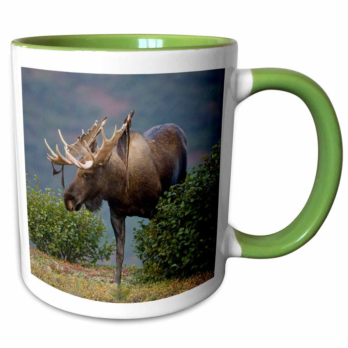 image of 15oz Two-Tone Green Mug