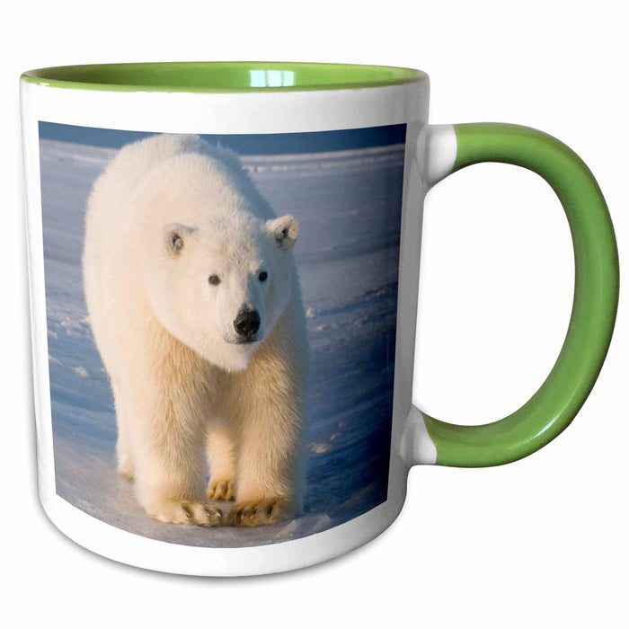 image of 15oz Two-Tone Green Mug