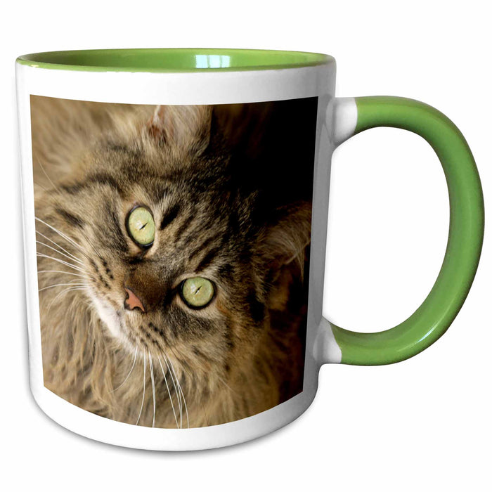 image of 15oz Two-Tone Green Mug