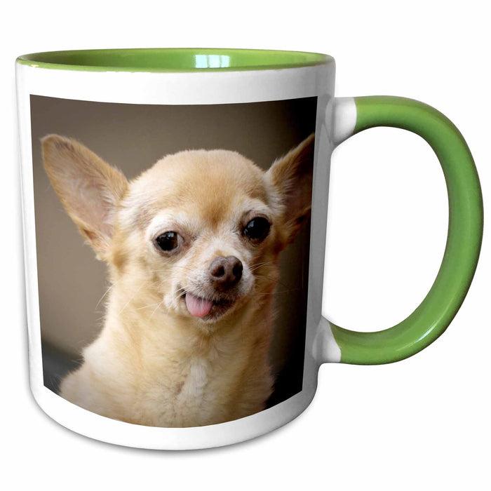 image of 15oz Two-Tone Green Mug