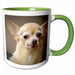 image of 15oz Two-Tone Green Mug