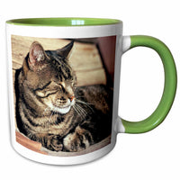 3dRose Utah, Capitol Reef NP. Sleeping tabby cat - US45 RER0114 - Ric Ergenbright - Mugs (mug_94870)