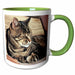 image of 15oz Two-Tone Green Mug