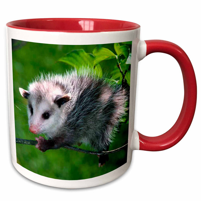 image of 15oz Two-Tone Red Mug