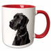 image of 15oz Two-Tone Red Mug