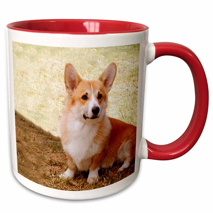 image of 15oz Two-Tone Red Mug