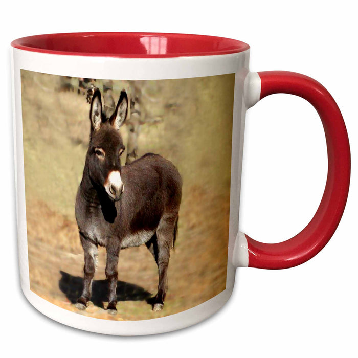 image of 15oz Two-Tone Red Mug