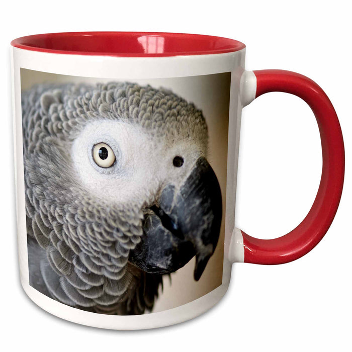 image of 11oz Two-Tone Red Mug