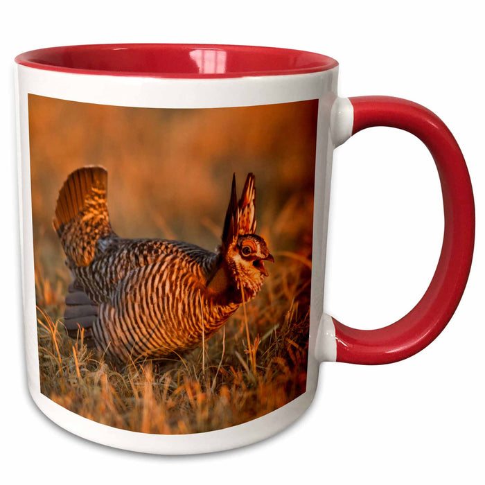 image of 11oz Two-Tone Red Mug