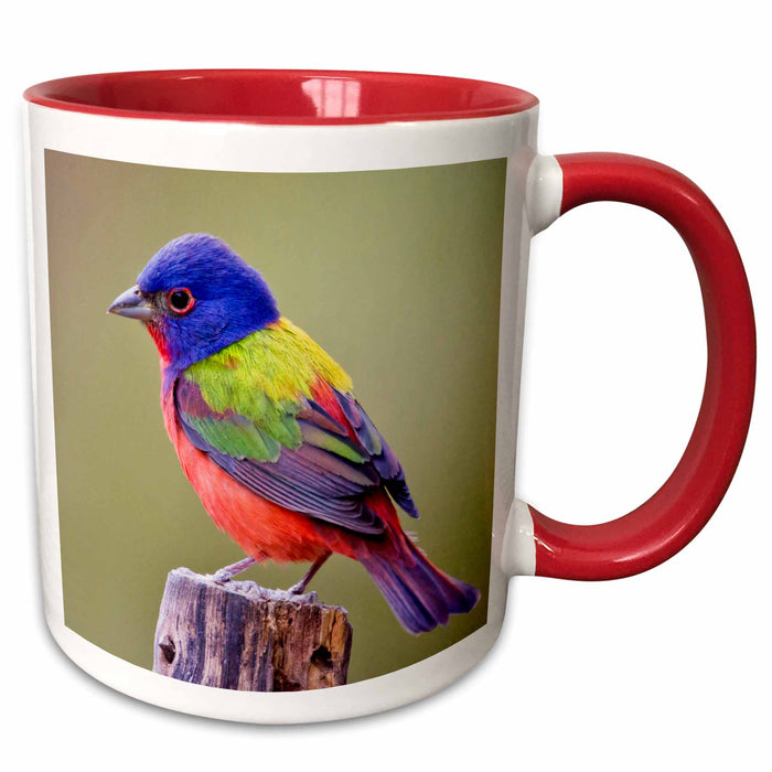 image of 15oz Two-Tone Red Mug