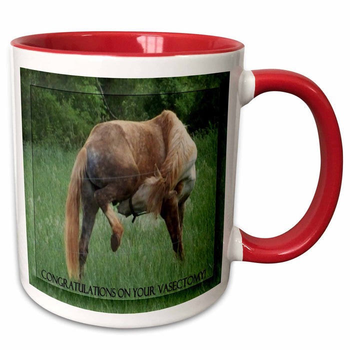 image of 15oz Two-Tone Red Mug