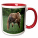 image of 15oz Two-Tone Red Mug