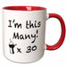 image of 15oz Two-Tone Red Mug