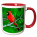 image of 15oz Two-Tone Red Mug