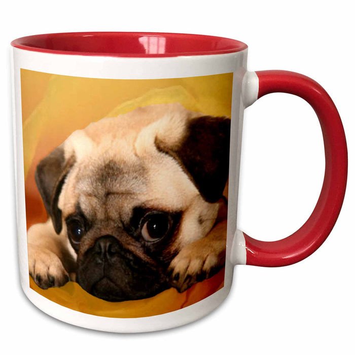 image of 11oz Two-Tone Red Mug