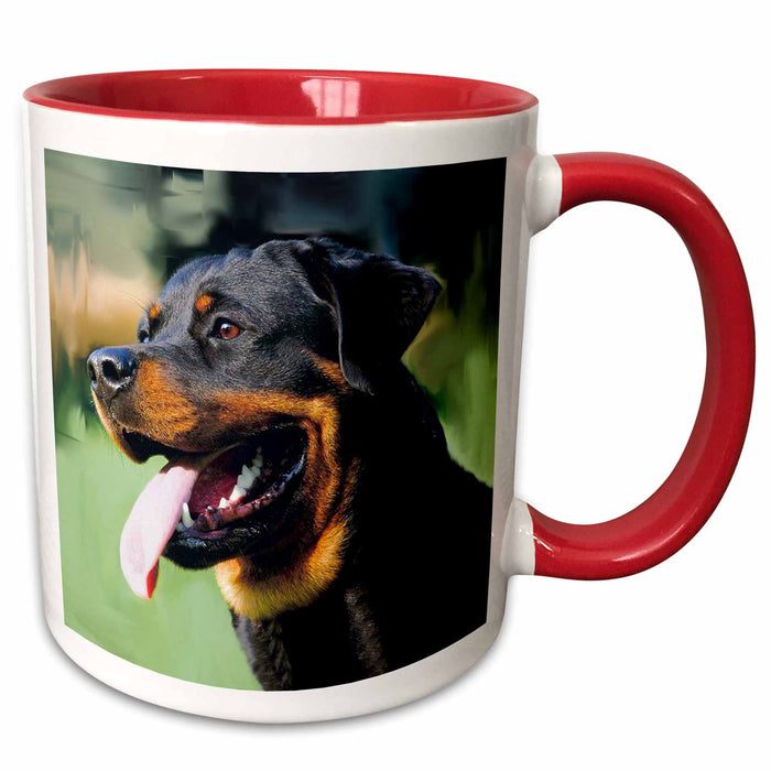 image of 15oz Two-Tone Red Mug