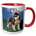 image of 11oz Two-Tone Red Mug