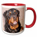 image of 15oz Two-Tone Red Mug