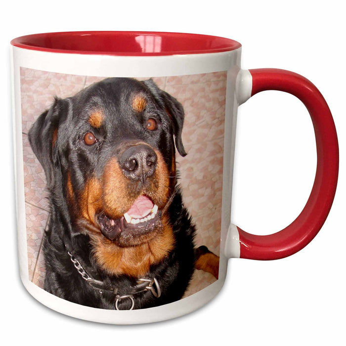 image of 11oz Two-Tone Red Mug