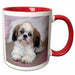 image of 11oz Two-Tone Red Mug