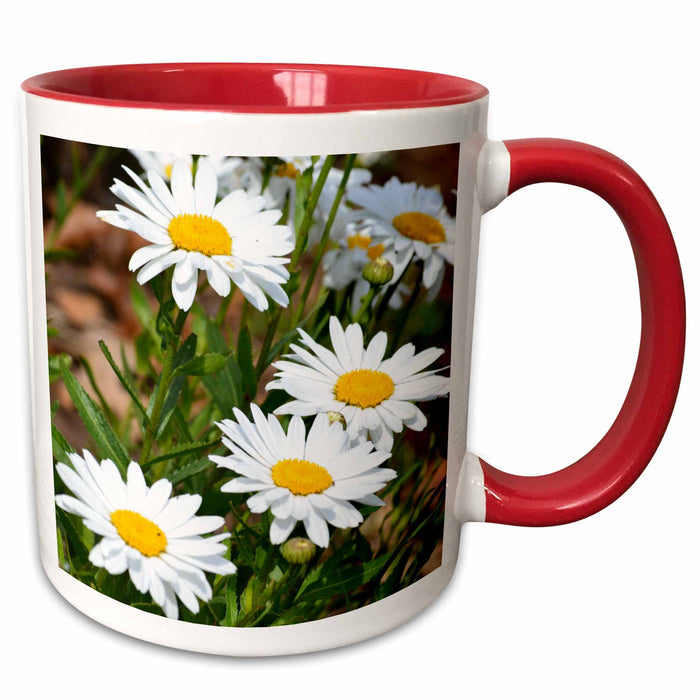 image of 11oz Two-Tone Red Mug