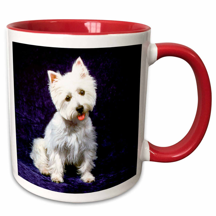 image of 11oz Two-Tone Red Mug