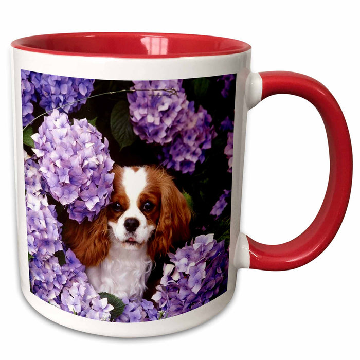 image of 11oz Two-Tone Red Mug