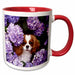 image of 15oz Two-Tone Red Mug