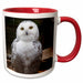 image of 15oz Two-Tone Red Mug