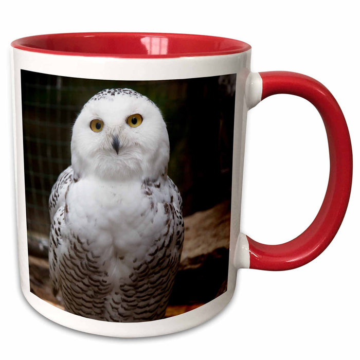 image of 11oz Two-Tone Red Mug