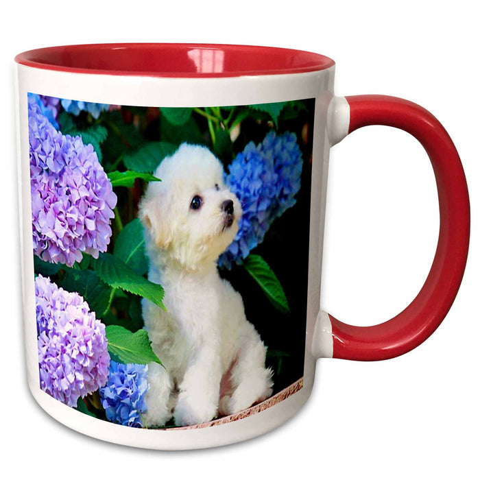 image of 15oz Two-Tone Red Mug