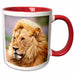 image of 11oz Two-Tone Red Mug