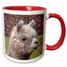 image of 15oz Two-Tone Red Mug