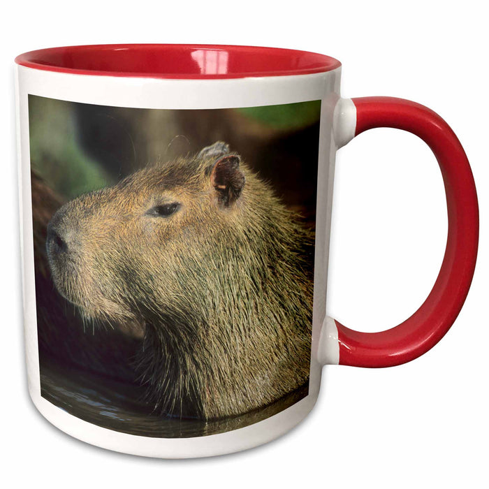 image of 15oz Two-Tone Red Mug