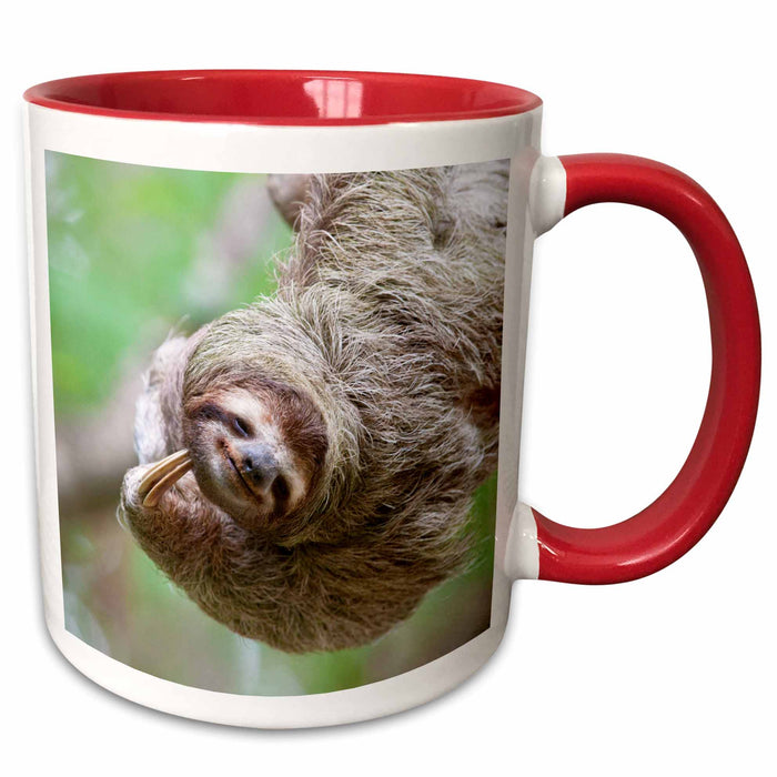 image of 11oz Two-Tone Red Mug