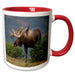 image of 15oz Two-Tone Red Mug