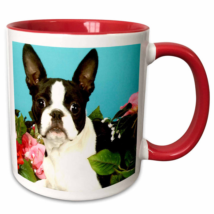 image of 11oz Two-Tone Red Mug