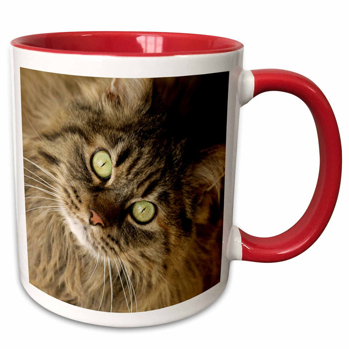 image of 11oz Two-Tone Red Mug