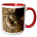 image of 15oz Two-Tone Red Mug