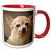 image of 11oz Two-Tone Red Mug