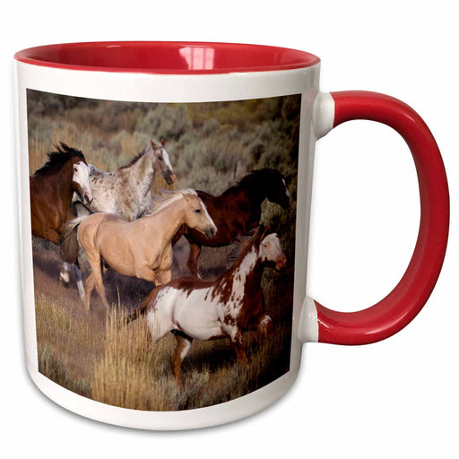 image of 15oz Two-Tone Red Mug