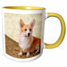 image of 15oz Two-Tone Yellow Mug