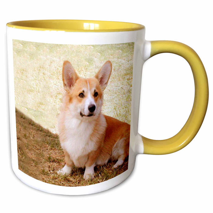 image of 11oz Two-Tone Yellow Mug