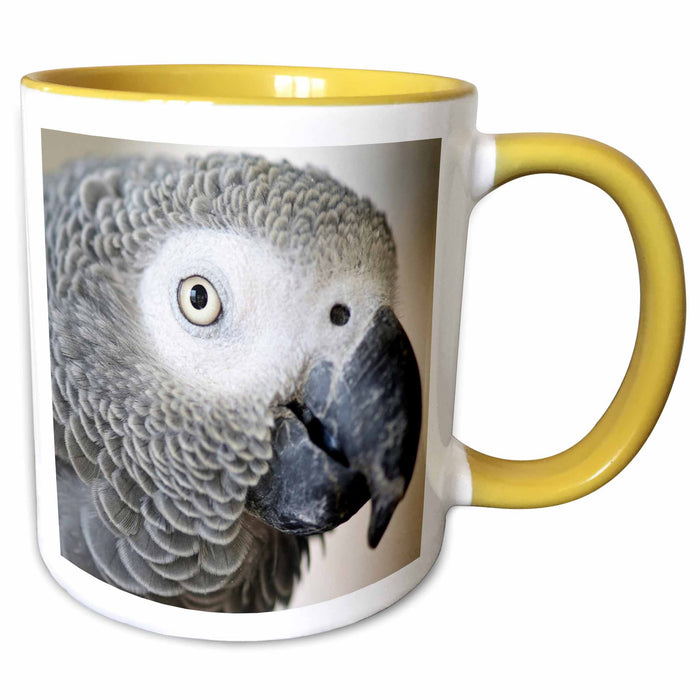 image of 11oz Two-Tone Yellow Mug