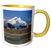 image of 11oz Two-Tone Yellow Mug