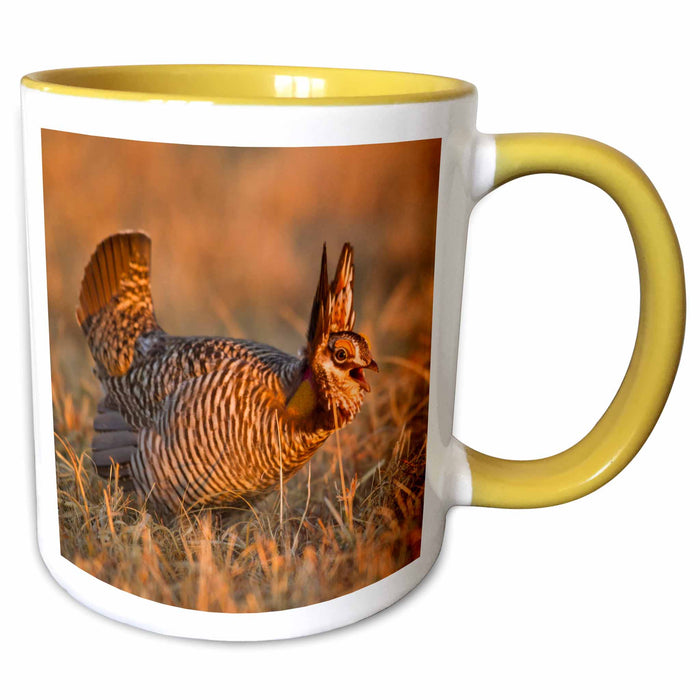 image of 15oz Two-Tone Yellow Mug