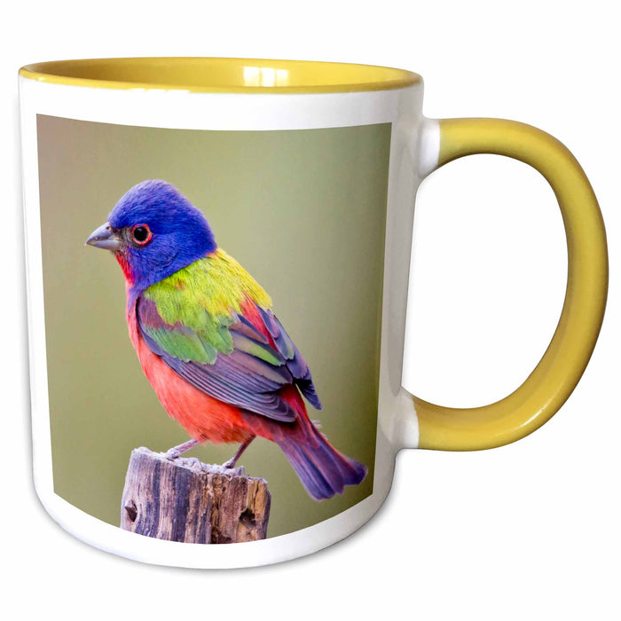 image of 11oz Two-Tone Yellow Mug